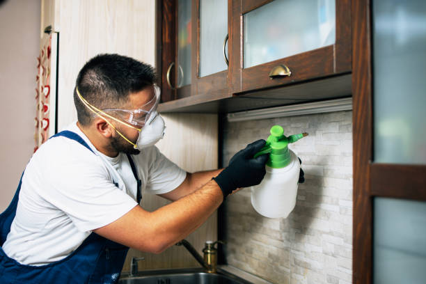 Best Local Pest Control Services  in Almedia, PA