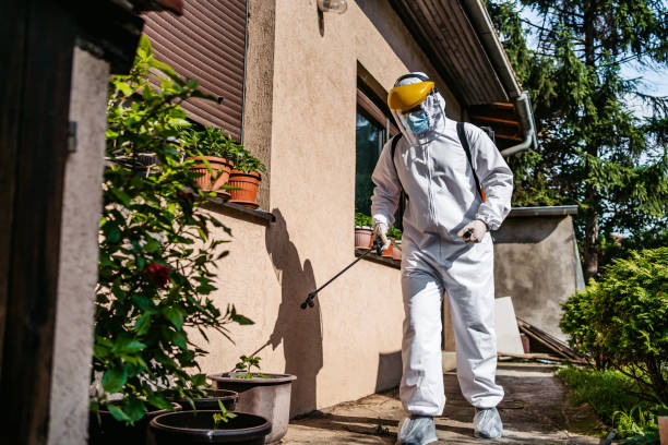 Trusted Almedia, PA Pest Control Experts