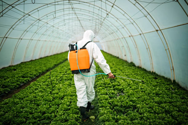 Best Pest Control Treatment  in Almedia, PA