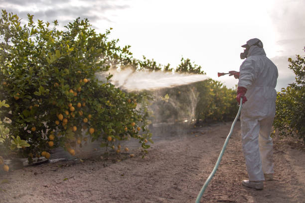 Best Pest Prevention Services  in Almedia, PA