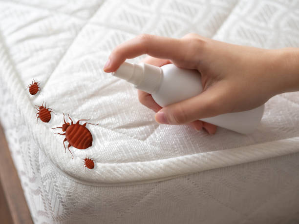 Best Commercial Pest Control Services  in Almedia, PA