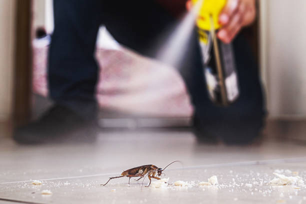 Best Wildlife Control Services  in Almedia, PA